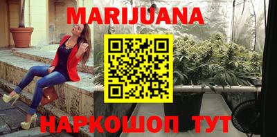 крисы Можга