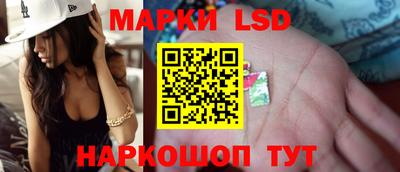 крисы Можга