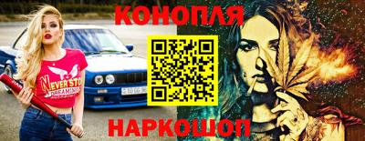 крисы Можга