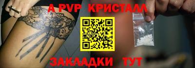 крисы Можга