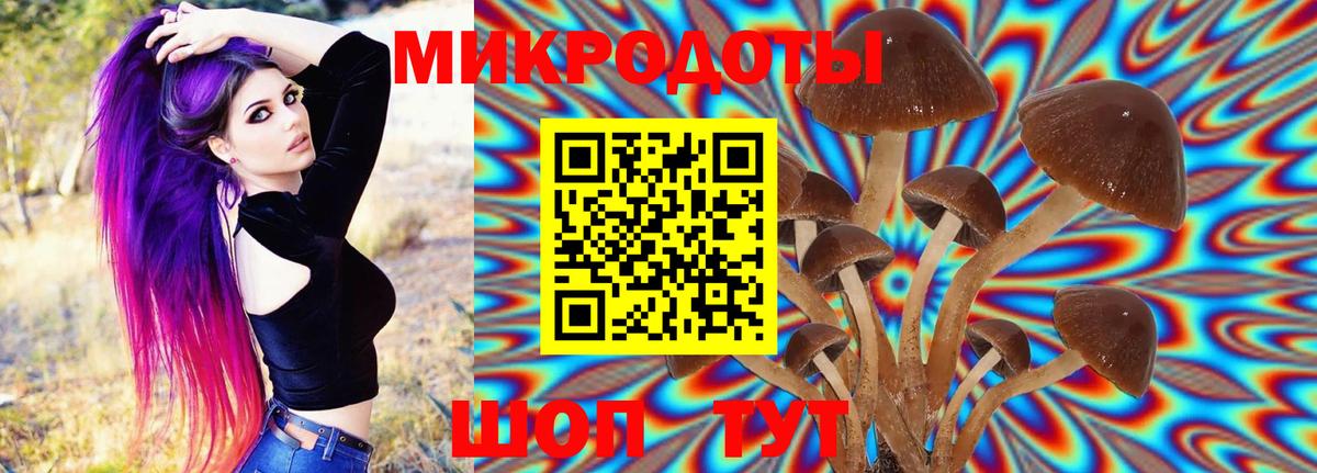 Галлюциногенные грибы Psilocybine cubensis Пугачёв