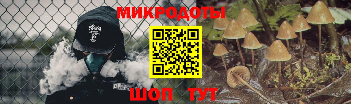 Галлюциногенные грибы Cubensis  Вход с VPN  Пугачёв 